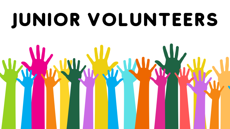 Junior volunteers graphic banner with an illustration with colorful hands raised up as if volunteering