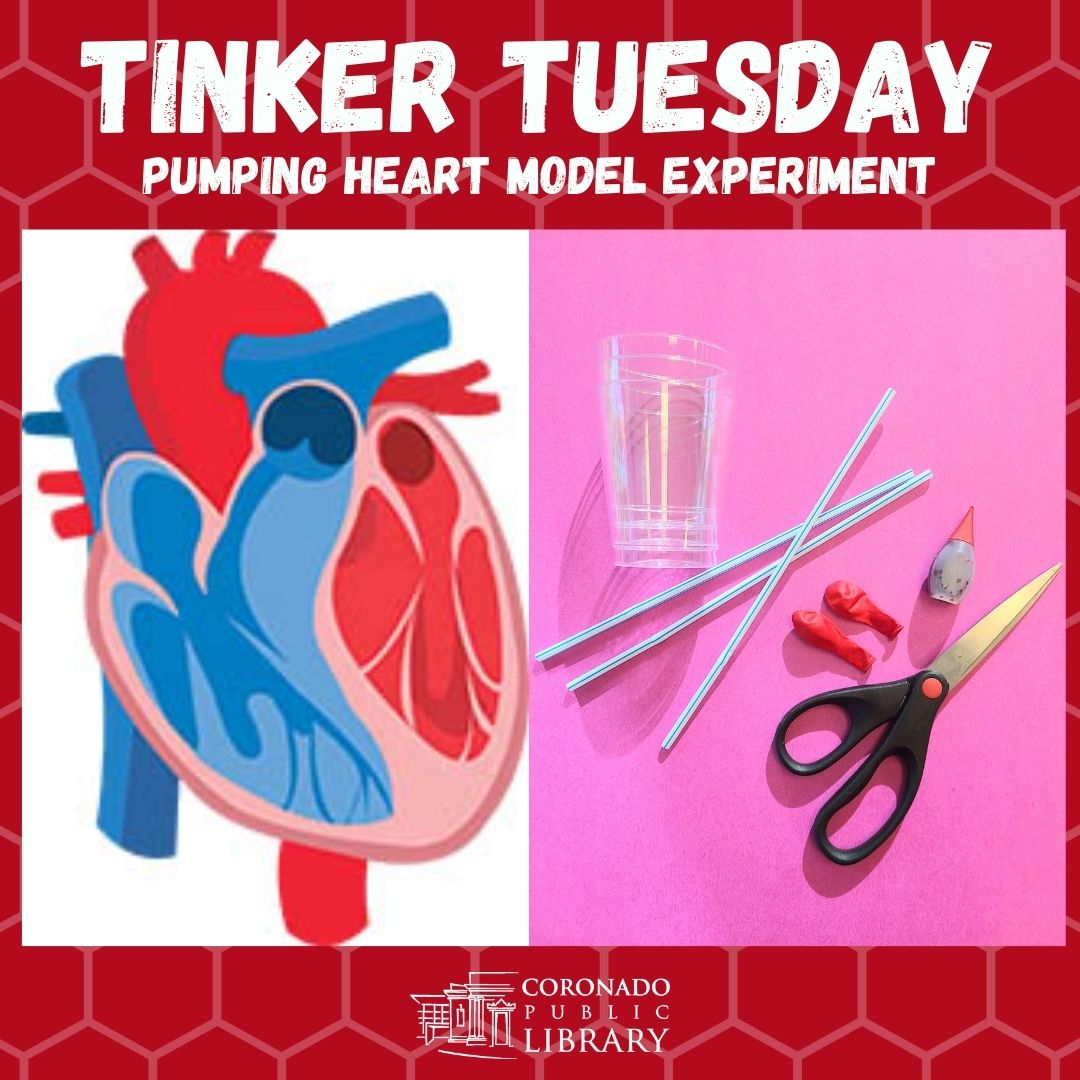 Tinker Tuesday Pumping Heart Model Experiment