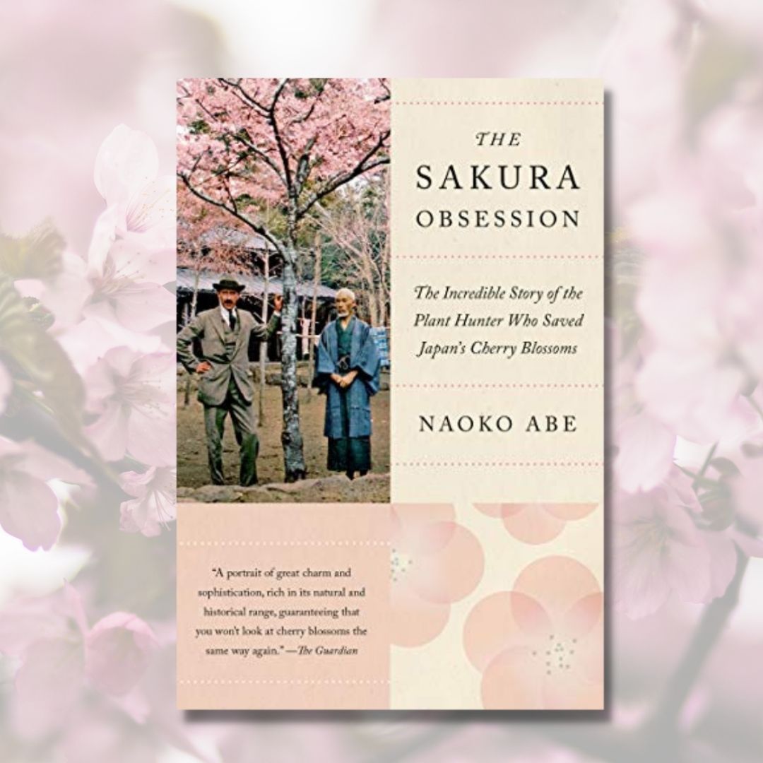 Through Their Eyes Book Club: The Sakura Obsession Book Cover