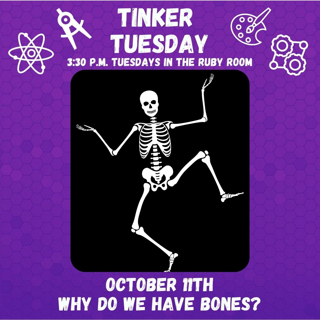 Why Do We Have Bones? 