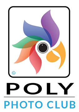 Poly Photo Club with parrot in multiple colors