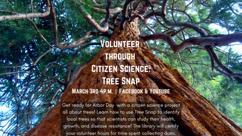 Tree Snap flyer