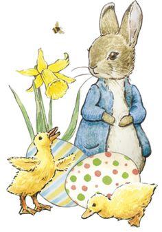 Peter Rabbit with eggs