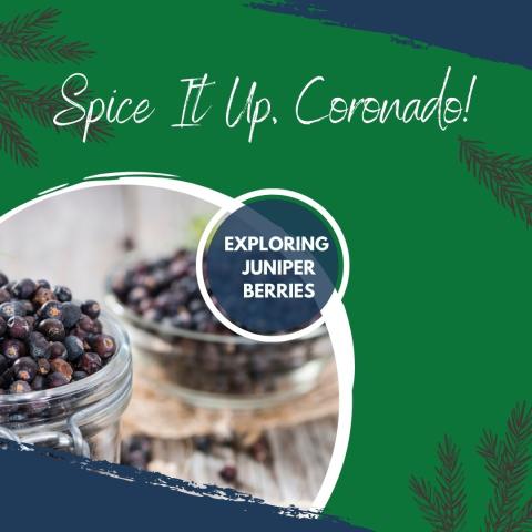 February Spice It Up: Juniper Berries