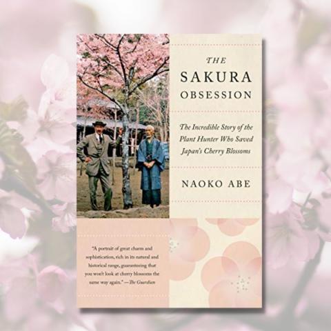 Through Their Eyes Book Club: The Sakura Obsession Book Cover