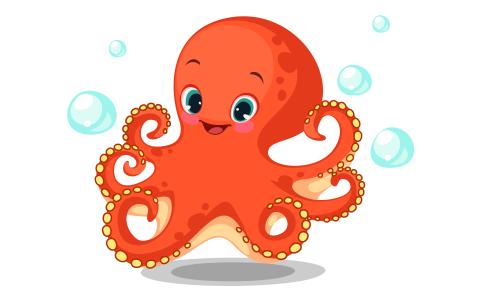 octopus