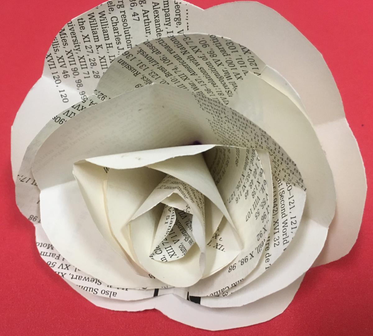 Paper Roses Image