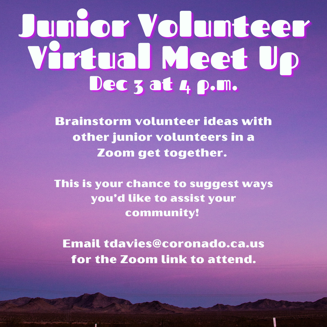 Junior Volunteer Meet Up Flyer